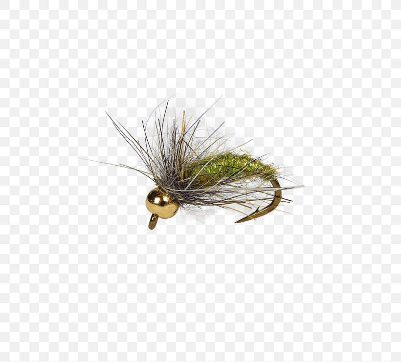 Caddisflies Insect Artificial Fly Fly Fishing Larva, PNG, 555x741px, Caddisflies, Angling, Artificial Fly, Fishing, Fishing Bait Download Free
