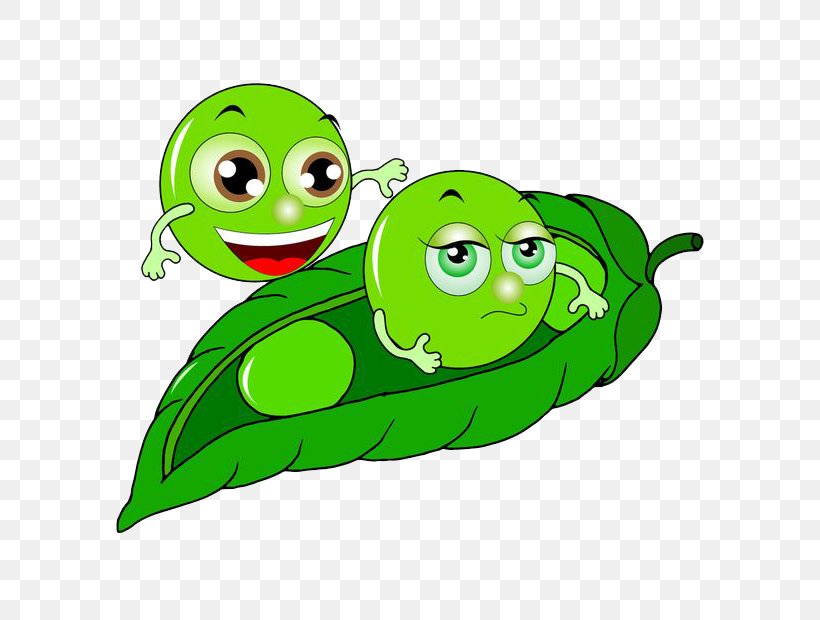 Pea Soybean Cartoon, PNG, 620x620px, Pea, Amphibian, Animation, Bean, Cartoon Download Free