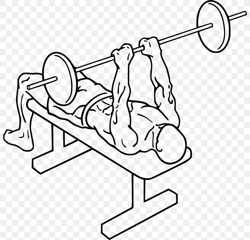 Bench Press Lying Triceps Extensions Triceps Brachii Muscle Exercise, PNG, 800x787px, Watercolor, Cartoon, Flower, Frame, Heart Download Free