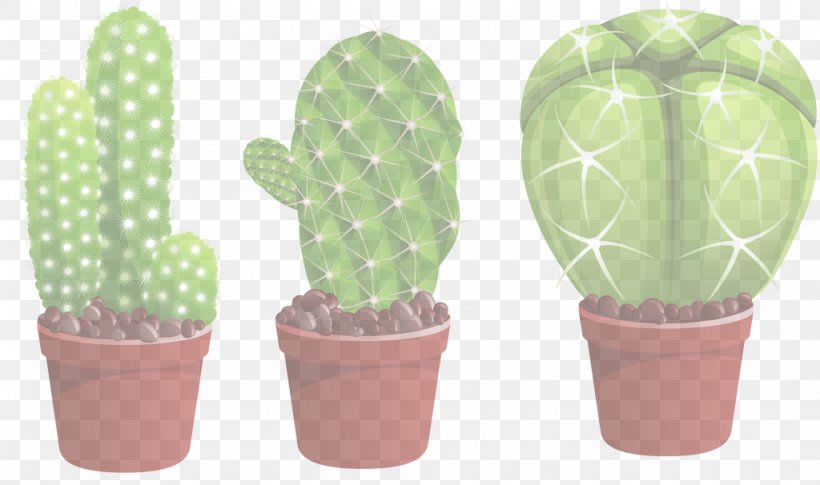 Cactus, PNG, 1024x606px, Cactus, Caryophyllales, Flower, Flowerpot, Green Download Free