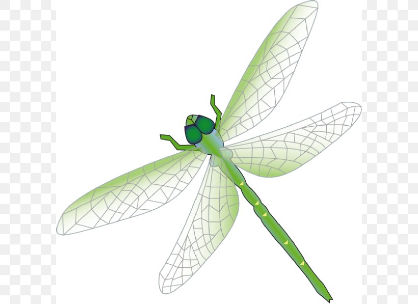 Dragonfly Clip Art, PNG, 600x597px, Dragonfly, Arthropod, Blog, Cartoon, Dragonflies And Damseflies Download Free