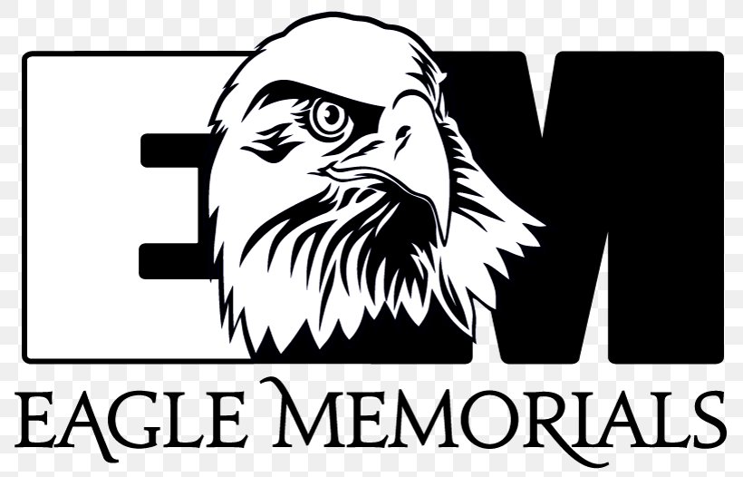Eagle Memorials Beak Logo Bird Of Prey, PNG, 800x526px, Beak, Area, Art, Bird, Bird Of Prey Download Free