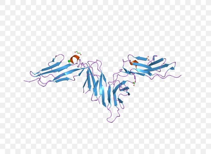 GPVI Collagen Receptor Glycoprotein Platelet, PNG, 800x600px, Glycoprotein, Antibody, Art, Blue, Cell Signaling Download Free
