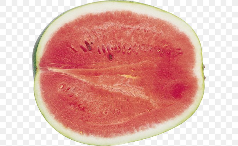 Watermelon Seedless Fruit DepositFiles IFolder Archive File, PNG, 600x502px, Watermelon, Archive File, Citrullus, Cucumber Gourd And Melon Family, Depositfiles Download Free