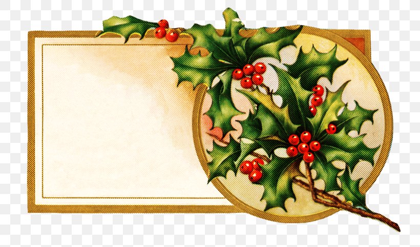 Holly, PNG, 800x484px, Holly, Fruit, Plant, Vegetable Download Free