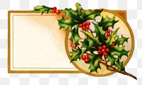 Fruit Vegetable - Holly PNG