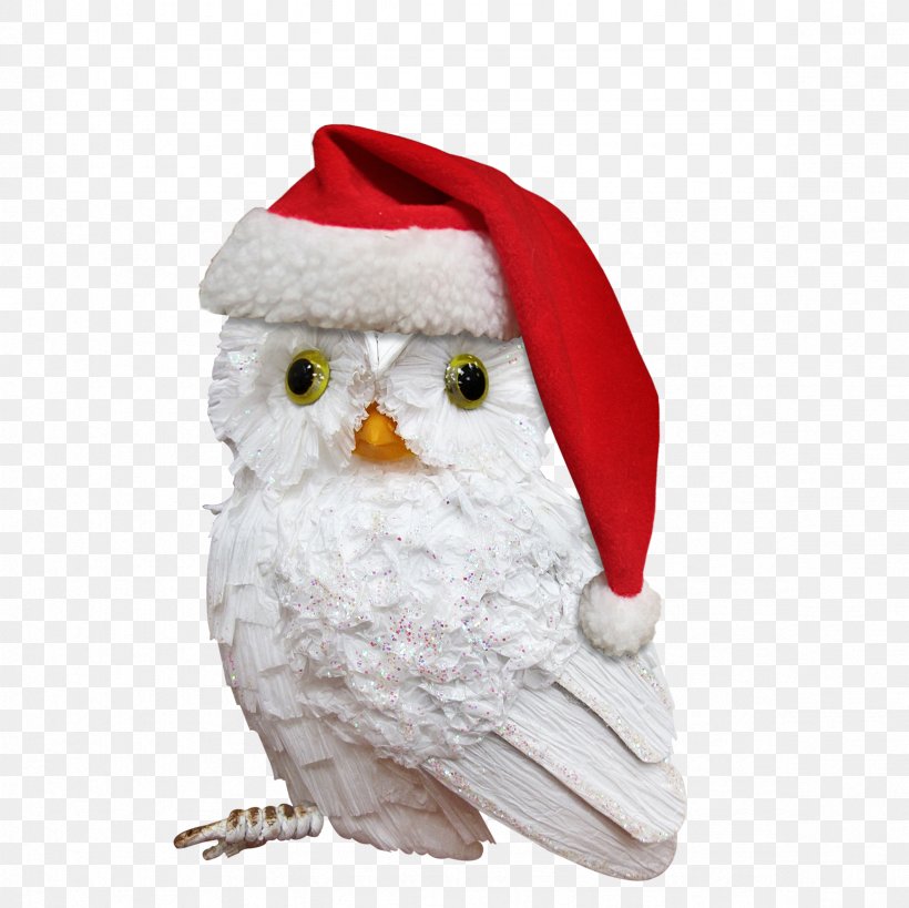 Owl Bird Santa Claus Christmas, PNG, 2362x2362px, Owl, Advent, Beak, Bird, Bird Of Prey Download Free