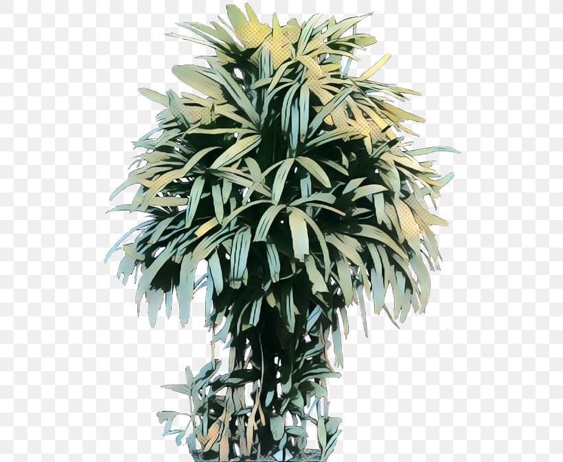 Palm Trees Flowerpot Houseplant, PNG, 531x672px, Palm Trees, Arecales, Flower, Flowering Plant, Flowerpot Download Free