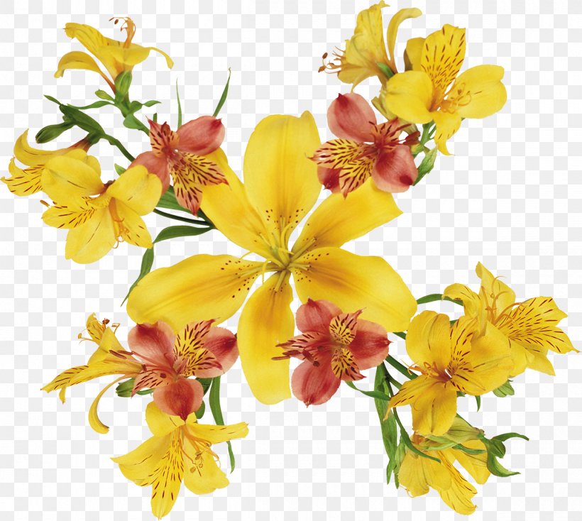 Watercolor: Flowers Painting Flowers Lilium, PNG, 1200x1075px, Watercolor Flowers, Alstroemeriaceae, Arumlily, Color, Cut Flowers Download Free