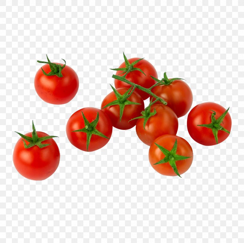 Cherry Tomato Italian Cuisine Campari Tomato Roma Tomato San Marzano Tomato, PNG, 960x956px, Watercolor, Cartoon, Flower, Frame, Heart Download Free