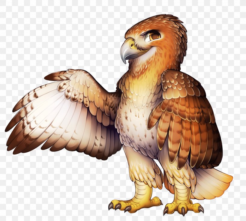 Eagle Red-tailed Hawk El Halcon De Cola Roja Furry Fandom, PNG, 2059x1852px, Eagle, Beak, Bird, Bird Of Prey, Fauna Download Free