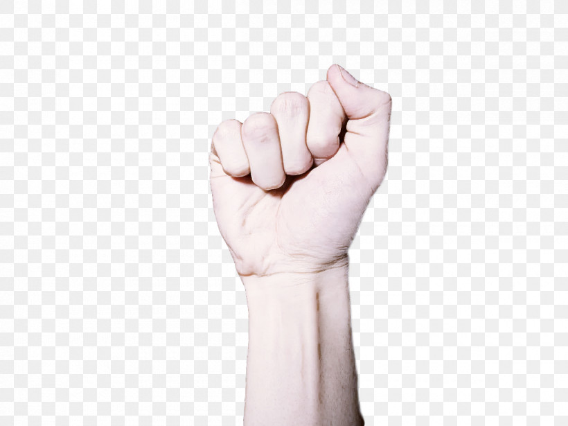 Joint Sign Language Hand Model Language Glove, PNG, 1200x901px, Joint, Biology, Glove, Hand, Hand Model Download Free