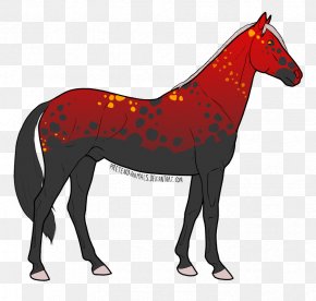 Mustang - Stallion Foal Oldenburg Horse Holsteiner Pony PNG