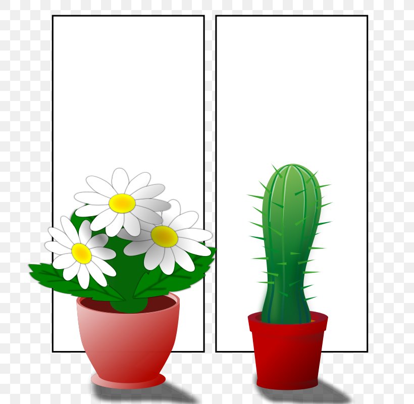 Window Free Content Clip Art, PNG, 800x800px, Window, Art, Cactus, Church Window, Floral Design Download Free
