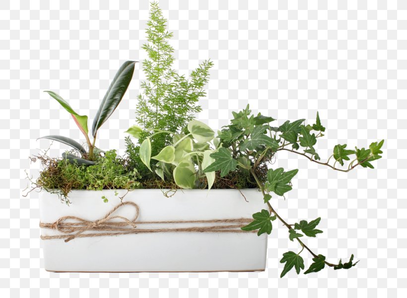 Herbalism Flowerpot Houseplant Fines Herbes, PNG, 730x600px, Herb, Fines Herbes, Flowerpot, Herbaceous Plant, Herbalism Download Free
