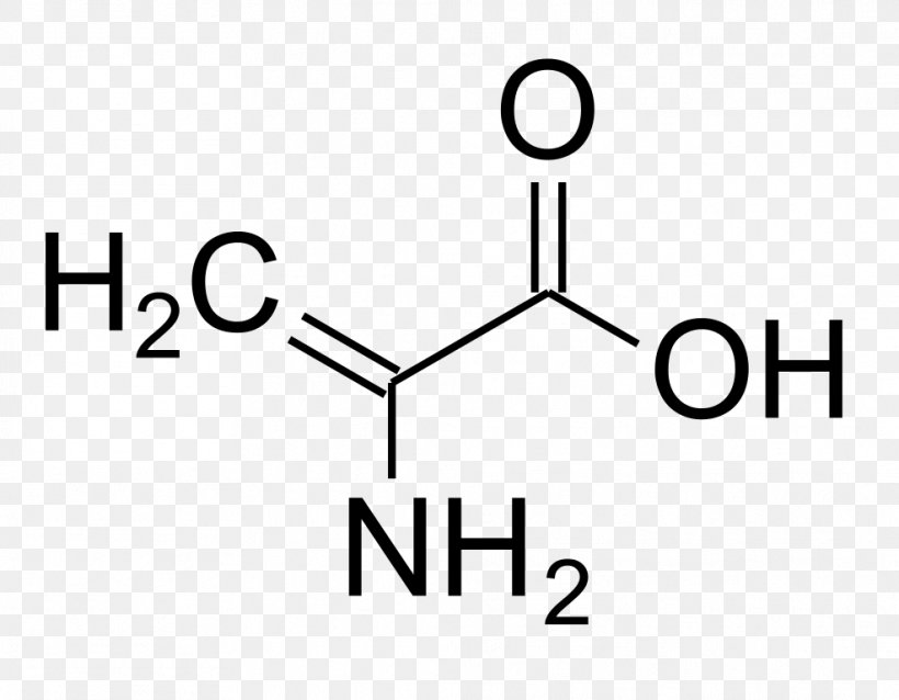 Phenylalanine Ammonia-lyase Amino Acid Leucine Tyrosine, PNG, 987x768px, Phenylalanine, Alanine, Amino Acid, Area, Aromatic Lamino Acid Decarboxylase Download Free