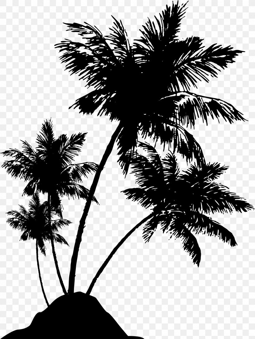 Silhouette Arecaceae Drawing Photography, PNG, 2400x3192px, Silhouette, Arecaceae, Arecales, Attalea Speciosa, Black And White Download Free