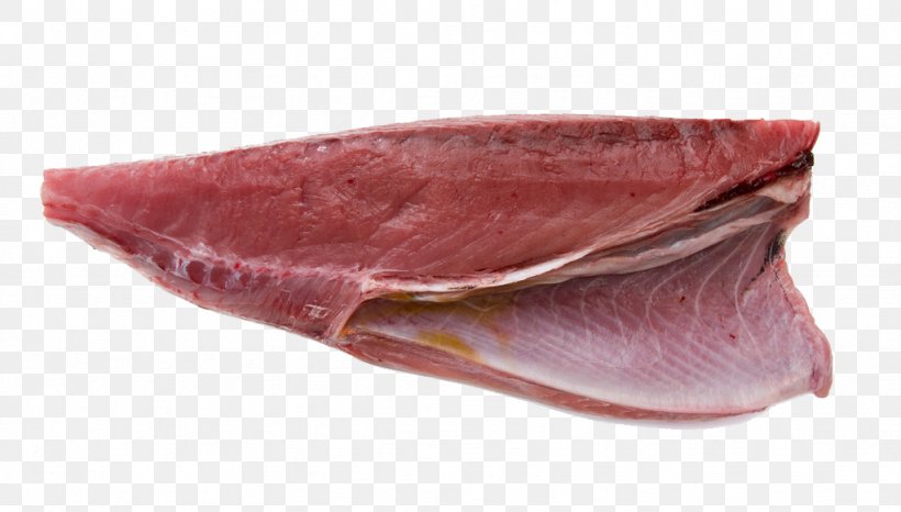 Thunnus Sushi Sashimi Japanese Cuisine Fish, PNG, 1024x583px, Thunnus, Animal Source Foods, Atlantic Bluefin Tuna, Back Bacon, Bayonne Ham Download Free