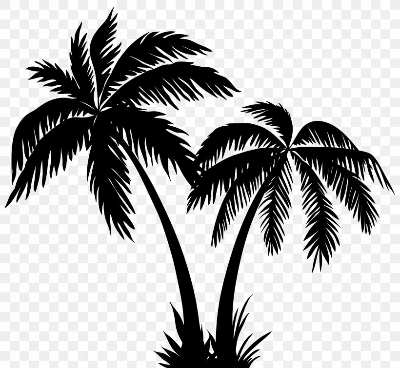 Silhouette Arecaceae Clip Art, PNG, 8000x7369px, Arecaceae, Arecales, Black And White, Borassus Flabellifer, Drawing Download Free