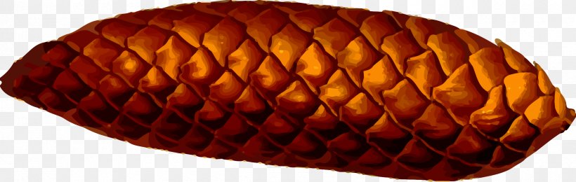 Conifer Cone Pine Clip Art, PNG, 2400x761px, Conifer Cone, Auglis, Commodity, Cone, Fruit Download Free