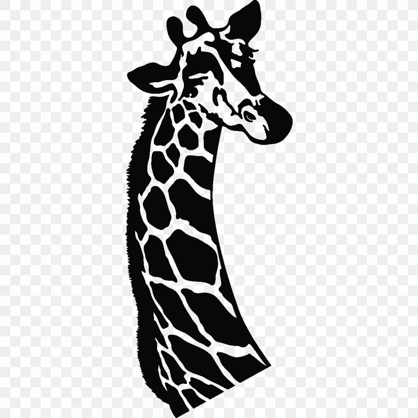 Giraffe Horse White Terrestrial Animal Wildlife, PNG, 1200x1200px, Giraffe, Animal, Black And White, Giraffidae, Head Download Free