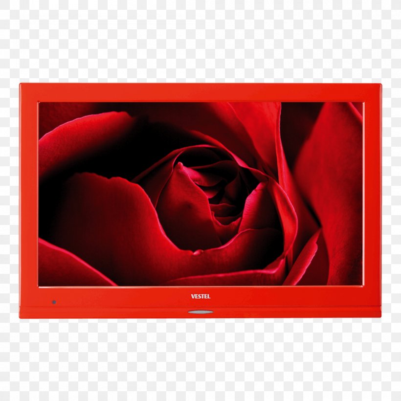 Red Display Device Television Color LED-backlit LCD, PNG, 1000x1000px, Red, Color, Color Television, Display Device, Flower Download Free
