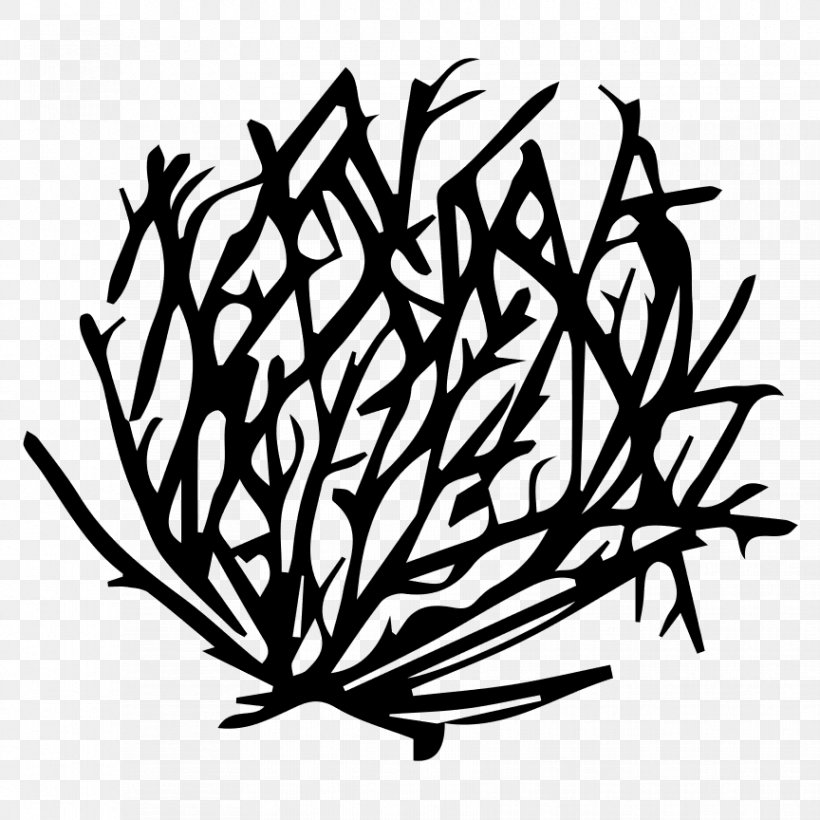 Tumbleweed Drawing Clip Art, PNG, 864x864px, Tumbleweed, Artwork, Black And White, Branch, Commodity Download Free