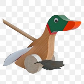 Duck - Duck /m/083vt Wood PNG