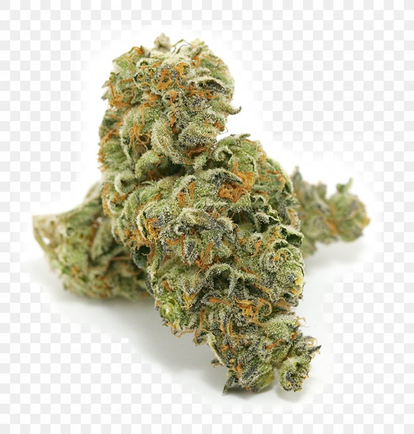 Medical Cannabis Kush Dispensary Cannabis Shop, PNG, 881x925px, Cannabis, Cannabidiol, Cannabis Culture, Cannabis In California, Cannabis Sativa Download Free