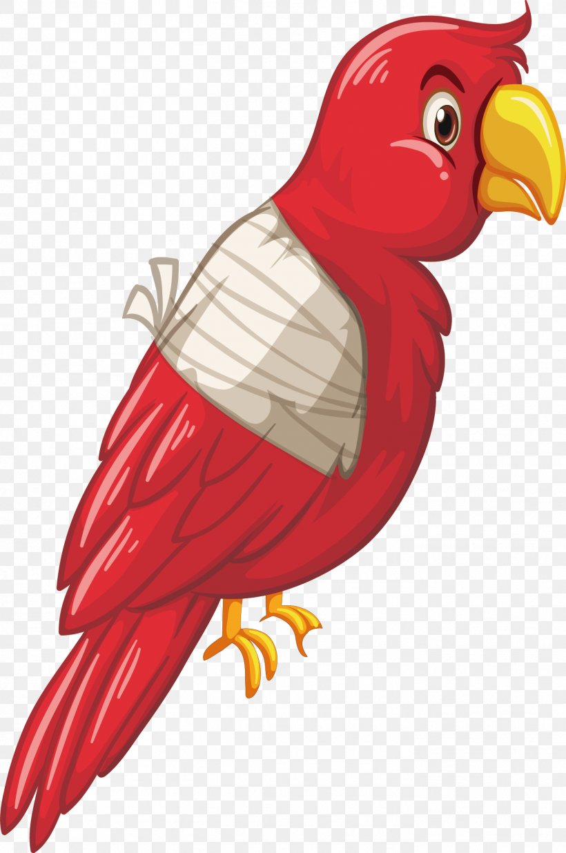 Parrot Bird Royalty-free Clip Art, PNG, 1402x2114px, Parrot, Beak, Bird, Chicken, Drawing Download Free