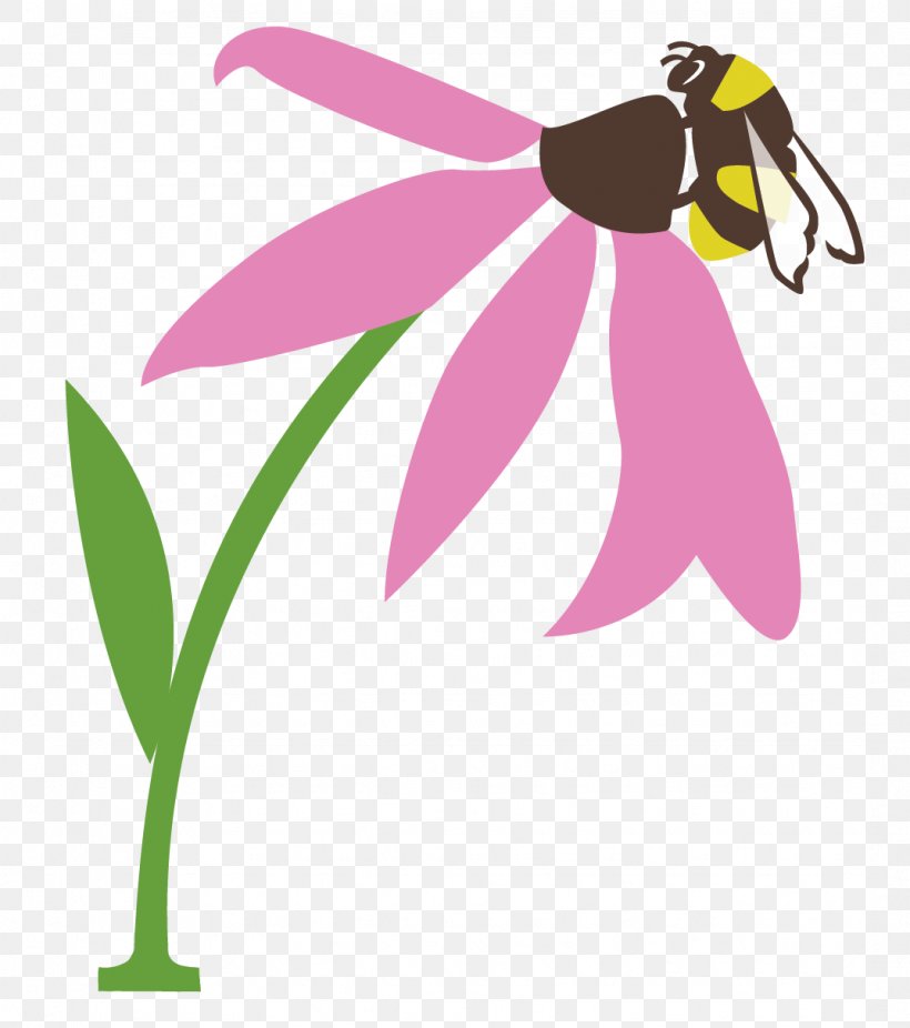 Bee Clip Art Butterfly Pollination Pollinator, PNG, 1074x1213px, Bee, Botany, Bumblebee, Butterfly, Carpenter Bee Download Free