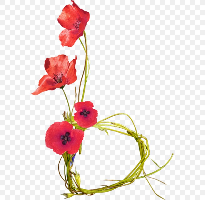 Cut Flowers Poppy Flower Bouquet Clip Art, PNG, 573x800px, Flower, Common Poppy, Coquelicot, Cut Flowers, Floral Design Download Free