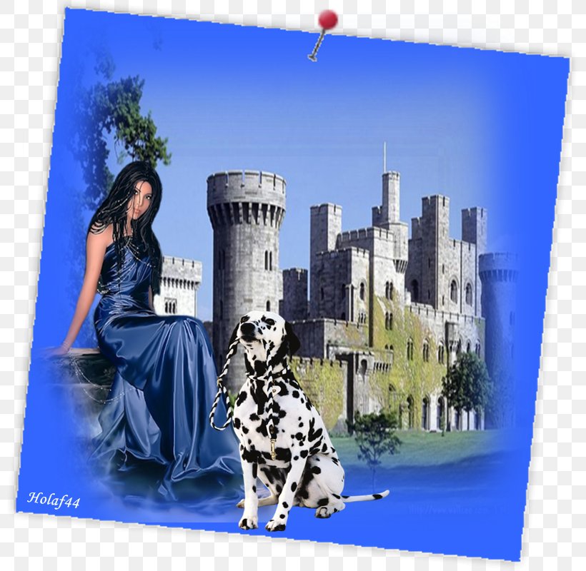 Dalmatian Dog Vathek 비주얼 C#에 날개를 달자 PC 성능에 젯트엔진을 달자 Advertising, PNG, 800x800px, Dalmatian Dog, Advertising, Blue, Caliphate, Dalmatian Download Free