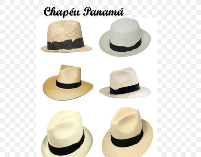Fedora Panama Hat Fashion Praia Da Cacimba Do Padre, PNG, 526x640px, Fedora, Beach, Cake, Cake Decorating, Clothing Download Free