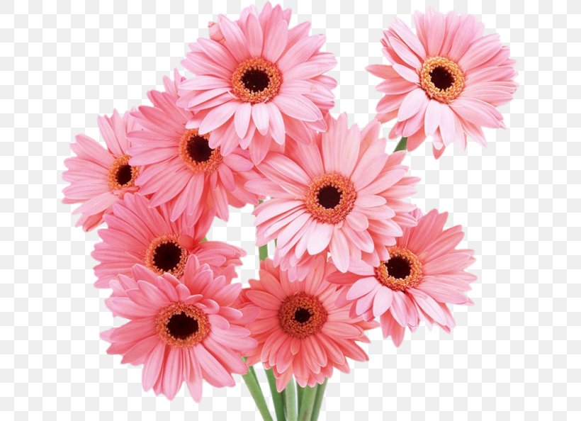 Flower Bouquet Cut Flowers Transvaal Daisy Rose, PNG, 650x594px, Flower Bouquet, Annual Plant, Artificial Flower, Birthday, Chamomile Download Free