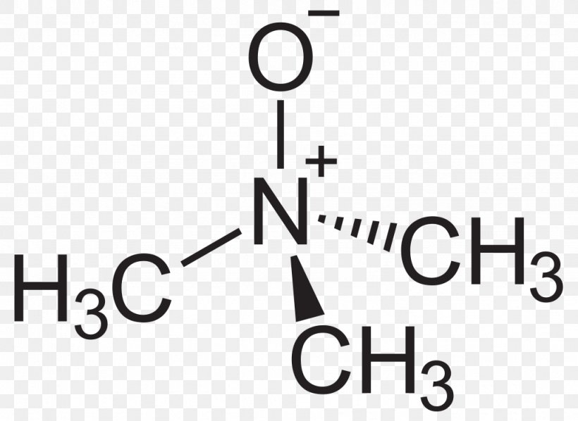 Trimethylamine N-oxide Amine Oxide N-Methylmorpholine N-oxide, PNG, 1024x748px, Trimethylamine Noxide, Amine Oxide, Area, Black And White, Brand Download Free