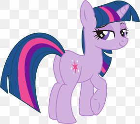Sparkle - Twilight Sparkle Rarity Pony Pinkie Pie Applejack PNG