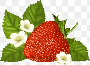 Strawberry Flower - Vector Graphics Clip Art Image Illustration PNG