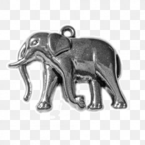 Sturdy - African Elephant Indian Elephant Animal Mammal PNG