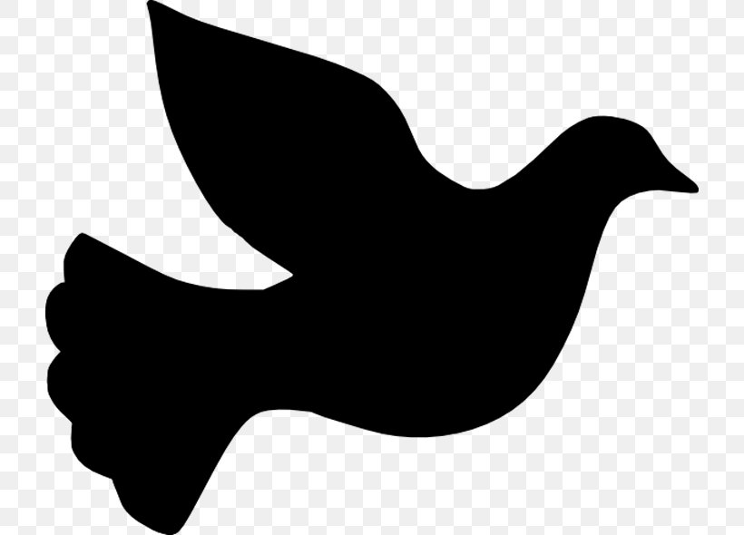 Columbidae Silhouette Clip Art, PNG, 720x590px, Columbidae, Barbary Dove, Beak, Bird, Black And White Download Free