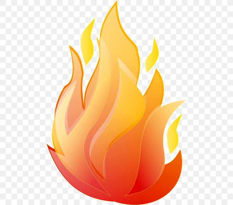 Flame Animation Clip Art, PNG, 494x720px, Flame, Animation, Colored Fire, Fire, Flower Download Free