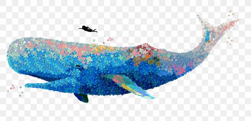 U8354u679d Watercolor Painting Whale Illustrator Illustration, PNG, 1037x500px, Watercolor Painting, Blue, Blue Whale, Dolphin, Drawing Download Free