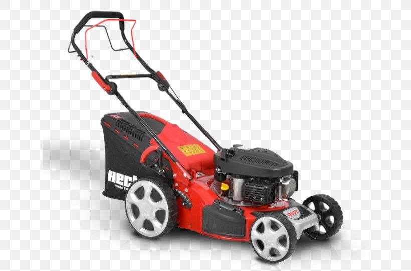 Lawn Mowers Northern Pike Hecht 543 Swe Mietitore, PNG, 650x542px, Lawn Mowers, Engine, Fenaison, Garden, Gasoline Download Free