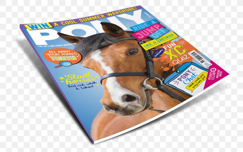 PONY Magazine Horse DJ Murphy Publishers Ltd, PNG, 767x514px, Pony, Advertising, Appearin Co Telenor Digital As, Brand, Equestrian Download Free