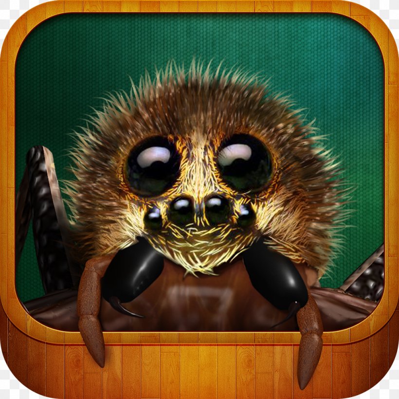 Real Scary Spiders Apple App Store IPhone Computer, PNG, 1024x1024px, Apple, Android, App Store, Computer, Ipad Download Free