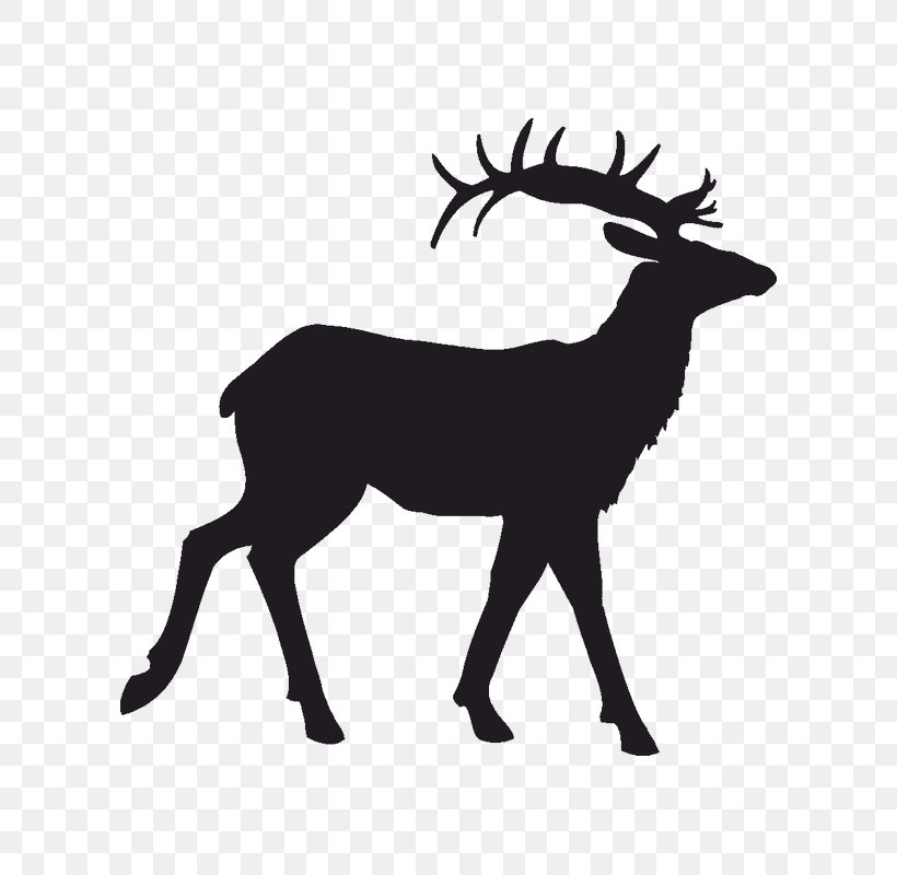 Reindeer Antler Clip Art, PNG, 800x800px, Deer, Antler, Black, Black And White, Christmas Download Free