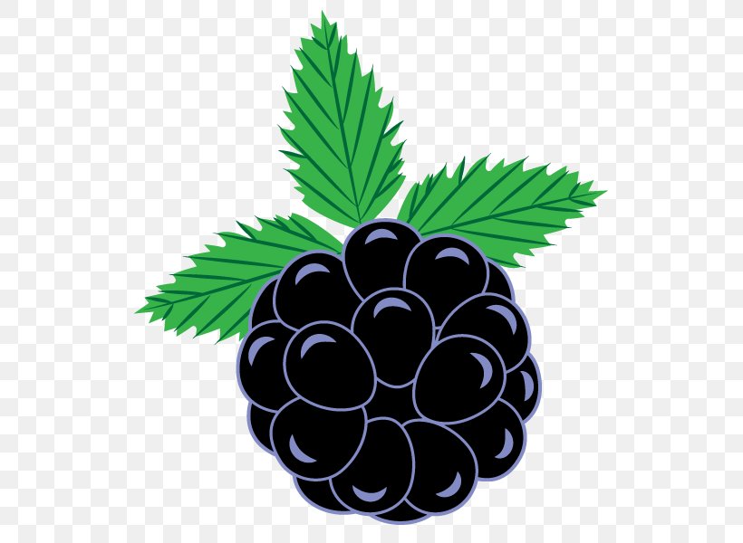 BlackBerry Curve Clip Art, PNG, 600x600px, Blackberry Curve, Blackberry, Blackberry Winter, Food, Free Content Download Free