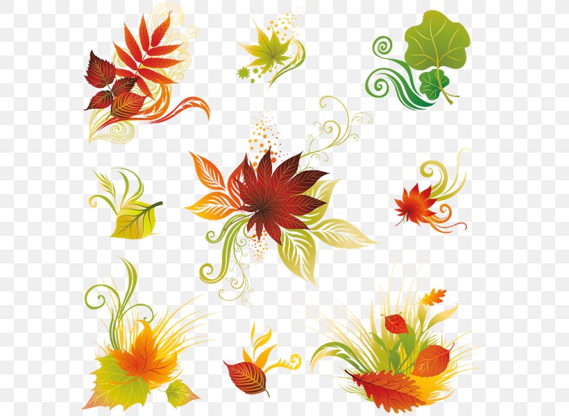 Clip Art, PNG, 600x600px, Leaf, Chrysanths, Cut Flowers, Dahlia, Daisy Download Free
