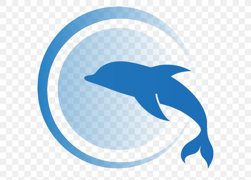 Common Bottlenose Dolphin Line Beak Clip Art, PNG, 631x590px, Common Bottlenose Dolphin, Beak, Bottlenose Dolphin, Dolphin, Fin Download Free