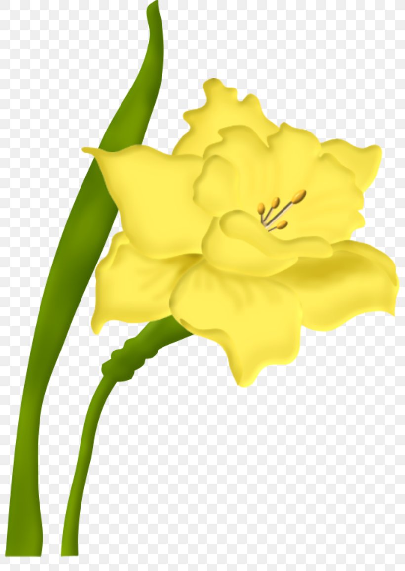 Cut Flowers Floral Design Blume, PNG, 800x1155px, Flower, Amaryllis Family, Blume, Com, Cut Flowers Download Free